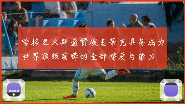 哈格里夫斯盛赞埃基蒂克具备成为世界顶级前锋的全部潜质与能力