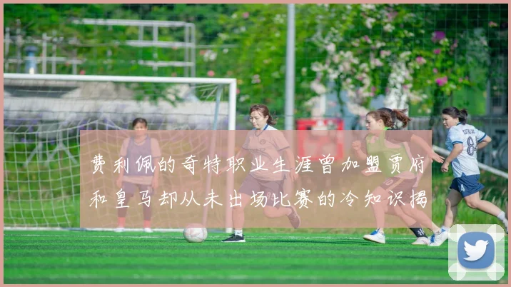 费利佩的奇特职业生涯曾加盟贾府和皇马却从未出场比赛的冷知识揭秘