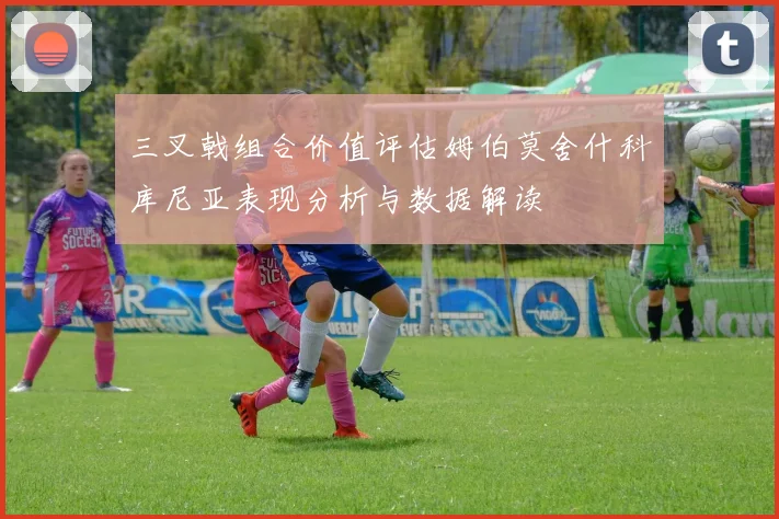 三叉戟组合价值评估姆伯莫舍什科库尼亚表现分析与数据解读