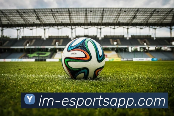 IM电竞平台生态图