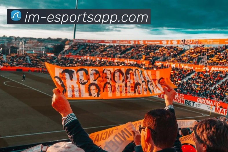 IM电竞APP 封面图